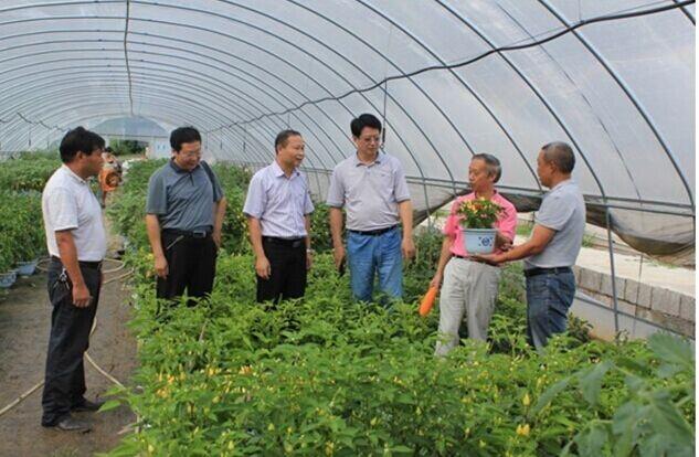 农科院蔬菜科技扶贫项目实现三结合取得好效果(图1) 农科院蔬菜科技扶贫项目实现三结合取得好效果(图1)