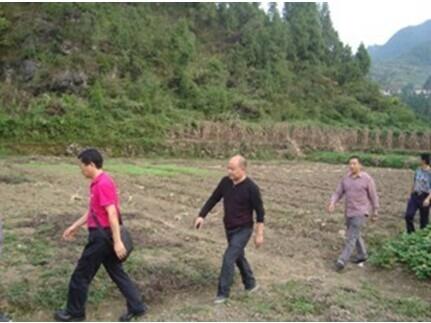 抗旱救灾第一线,科技扶贫专家团专家在行动(图2) 抗旱救灾第一线,科技扶贫专家团专家在行动(图2)