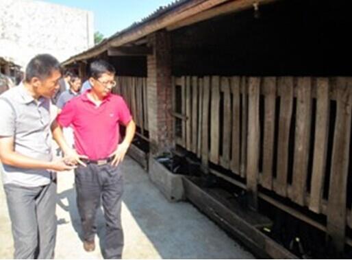 抗旱救灾第一线,科技扶贫专家团专家在行动(图3) 抗旱救灾第一线,科技扶贫专家团专家在行动(图3)