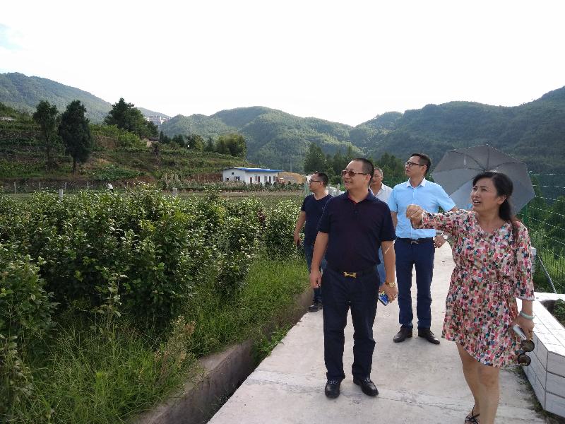 重庆市扶贫开发协会参与狮子山农业生态产业园研讨会:打造渝东北农旅扶贫典范(图5) 重庆市扶贫开发协会参与狮子山农业生态产业园研讨会:打造渝东北农旅扶贫典范(图5)