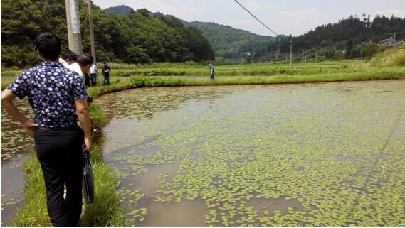 2014年重庆市级扶贫集团联络员培训交流(图4)