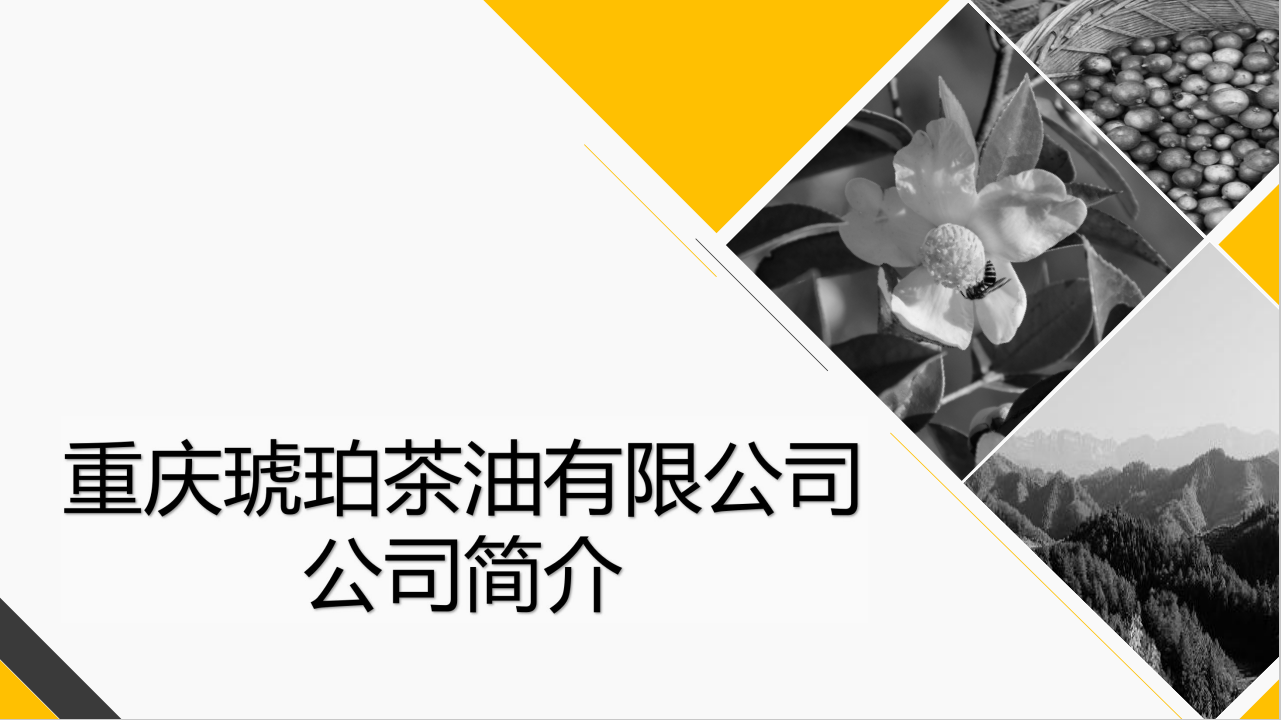 重庆琥珀茶油有限公司(图1)