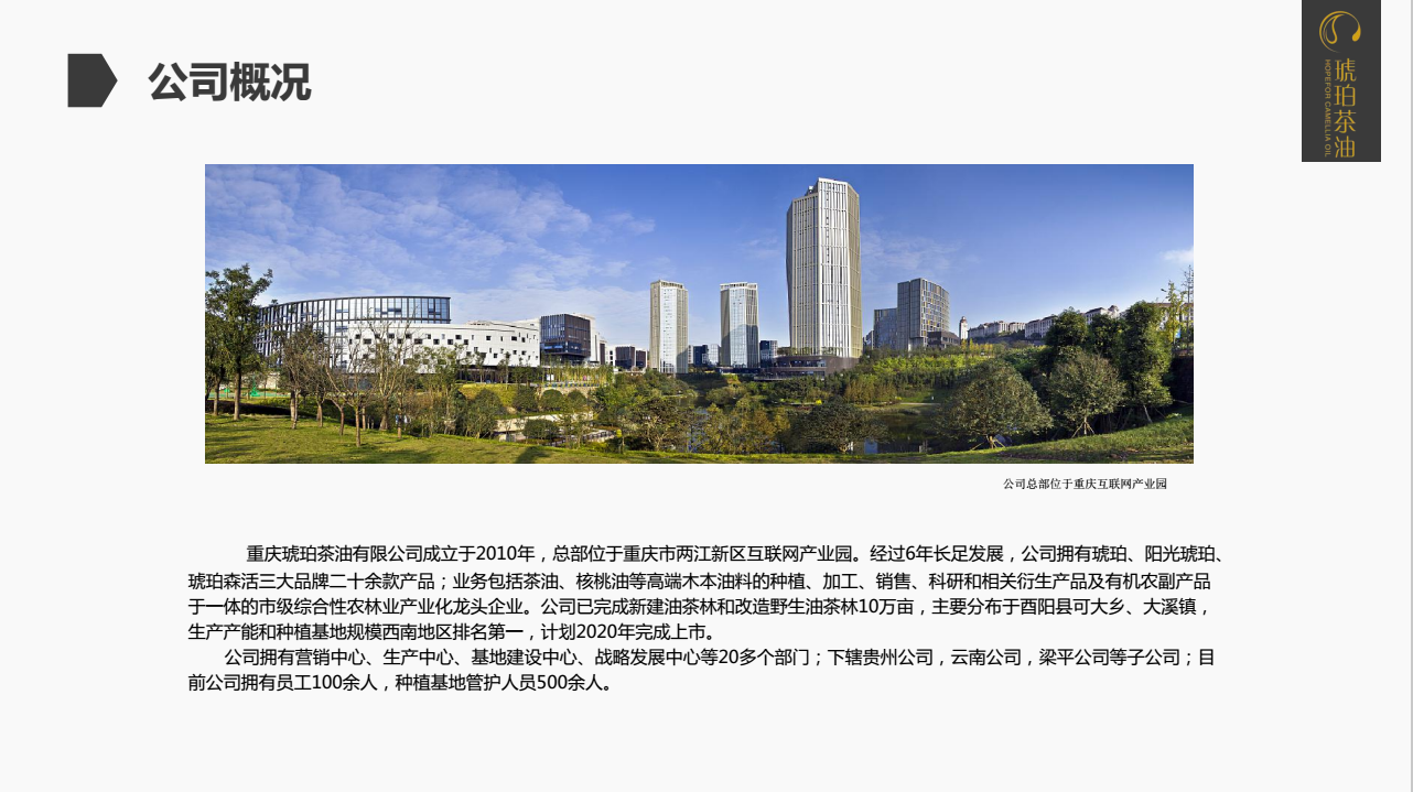 重庆琥珀茶油有限公司(图3)