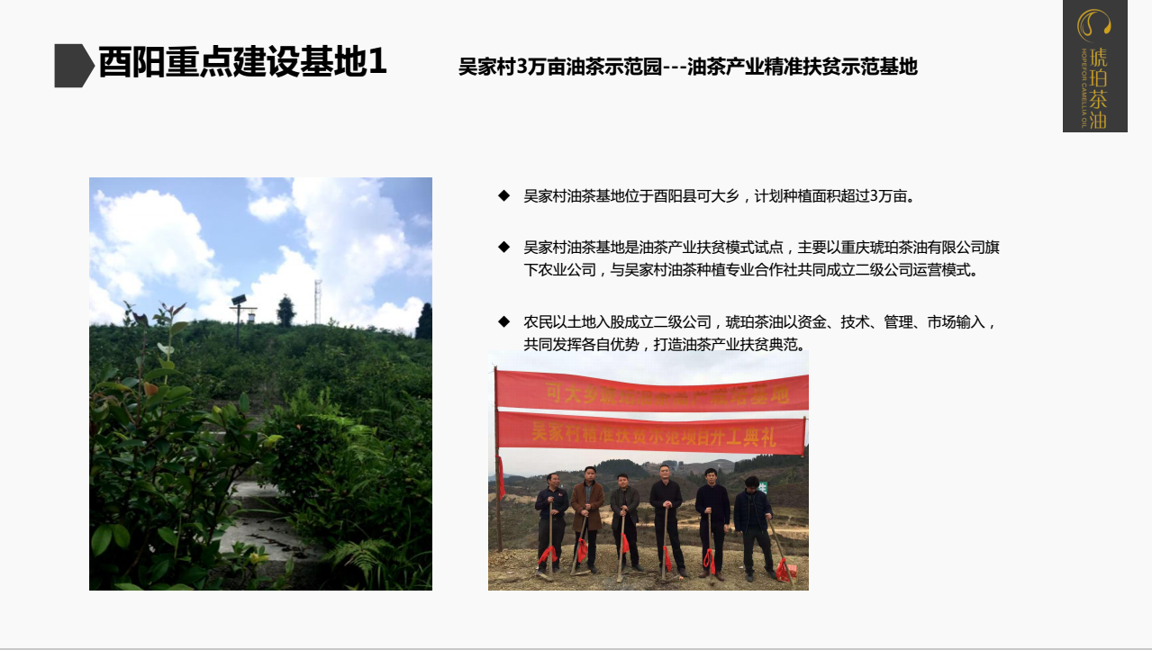 重庆琥珀茶油有限公司(图9)