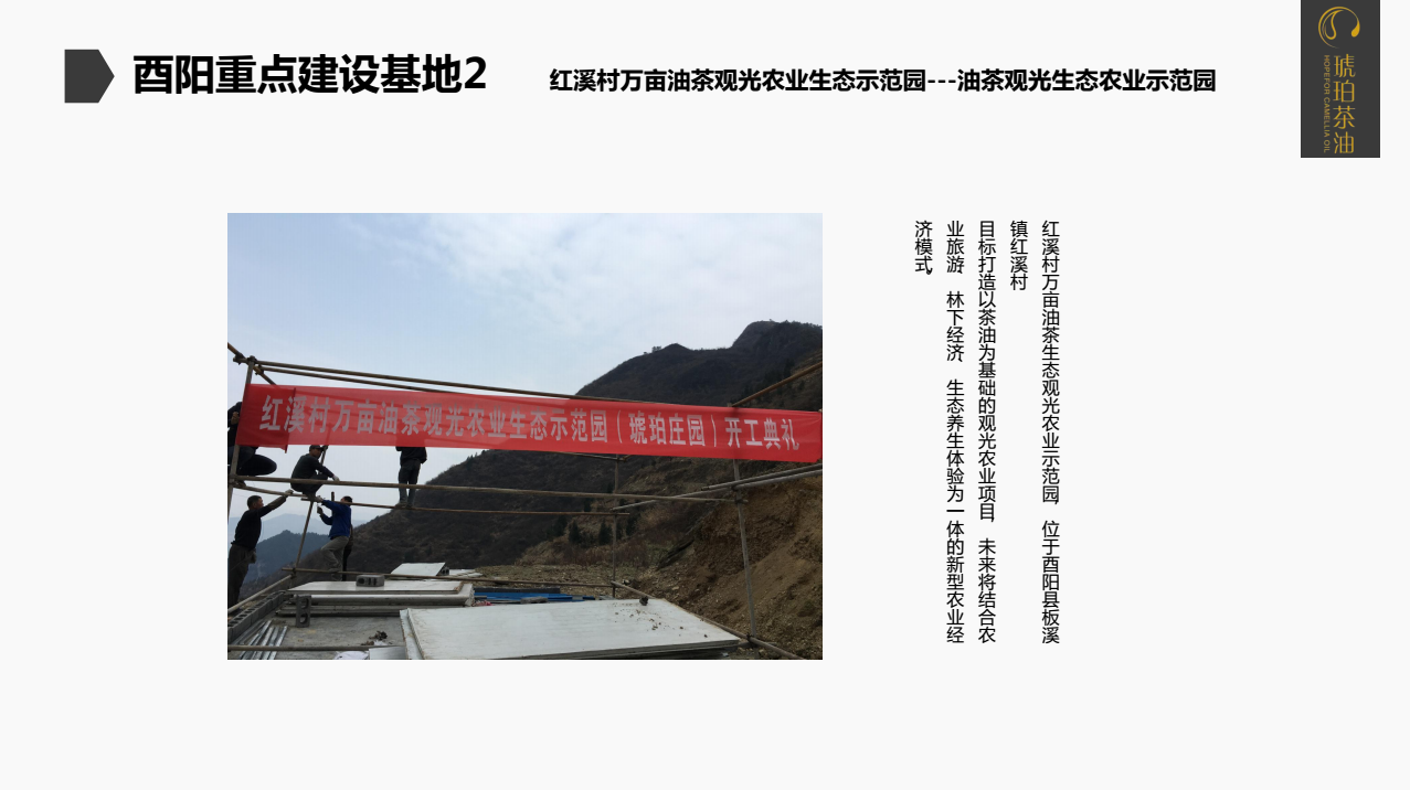 重庆琥珀茶油有限公司(图10)