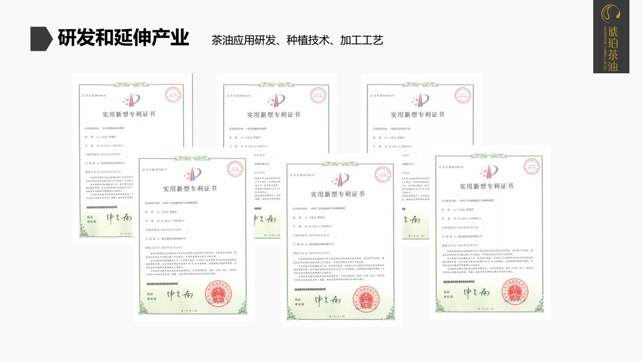 重庆琥珀茶油有限公司(图11)