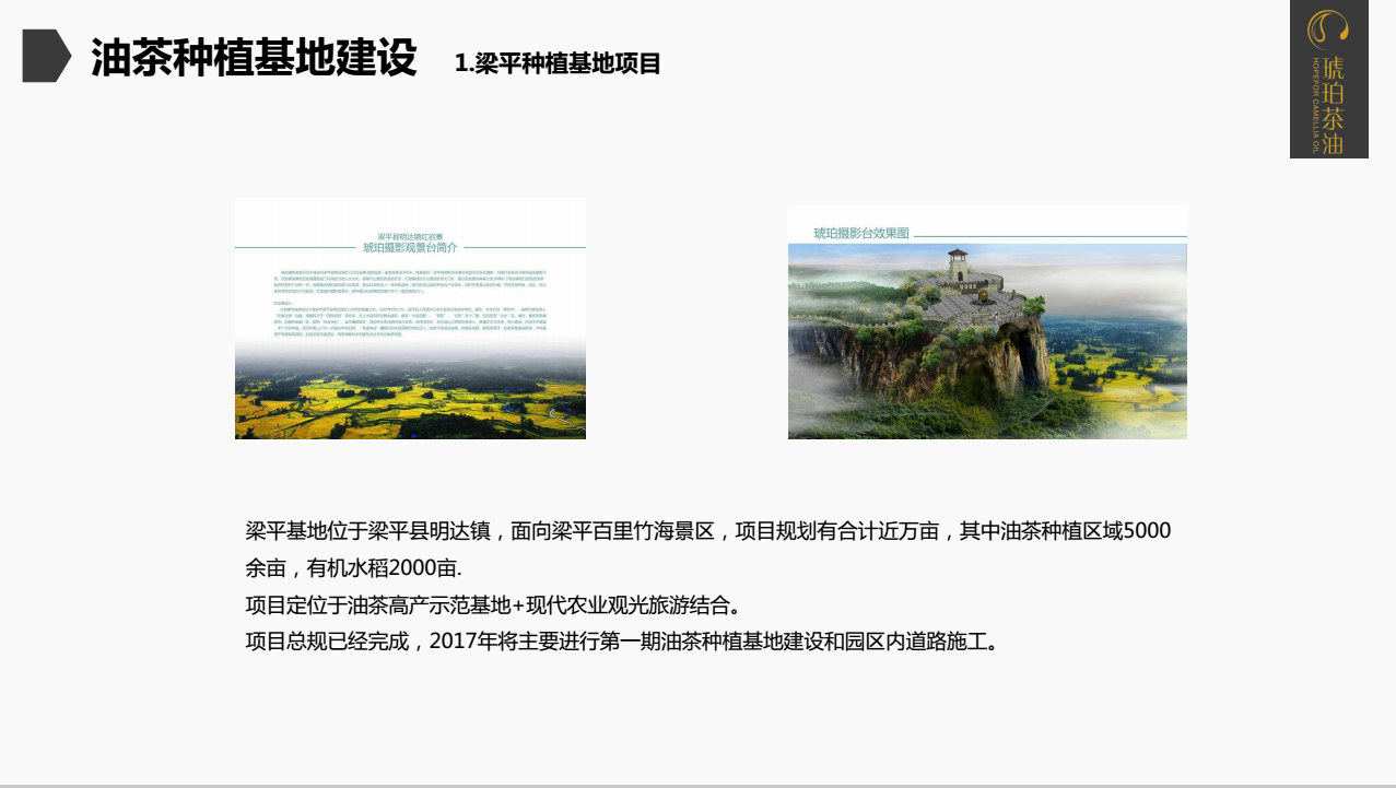重庆琥珀茶油有限公司(图19)