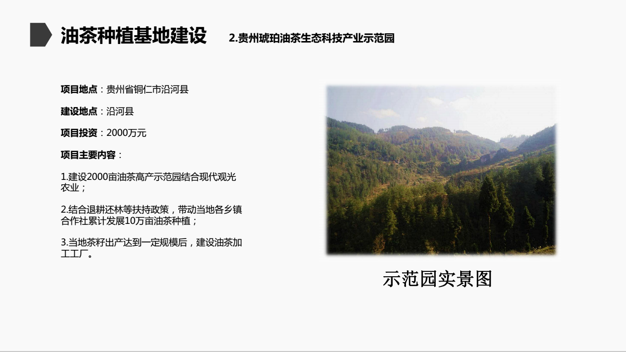 重庆琥珀茶油有限公司(图21)