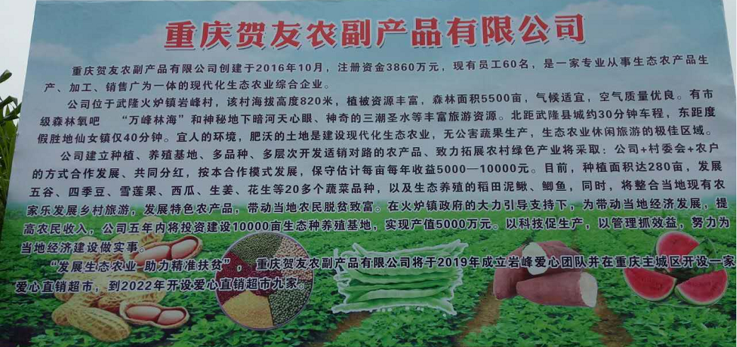 重庆贺友农副产品有限公司简介(图1)