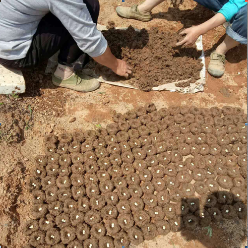 重庆贺友农副产品有限公司简介(图3)