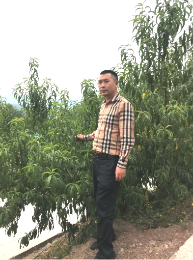 从部队到田间 石柱县退伍军人在扶贫战场再冲锋(图1) 从部队到田间 石柱县退伍军人在扶贫战场再冲锋(图1)