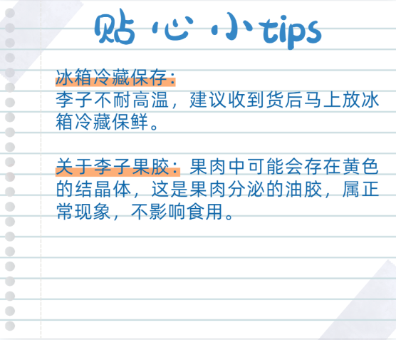 “重庆宝贝”巫山脆李熟啦,欢迎订购!(图6) “重庆宝贝”巫山脆李熟啦,欢迎订购!(图6)