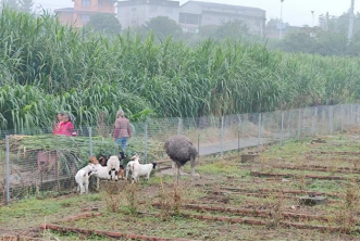 重庆市乡村发展协会组织考察重庆成瑜忠义公司(图1)