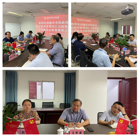 我协会工作受到重庆市民政局 社会组织管理局领导表扬(图2)