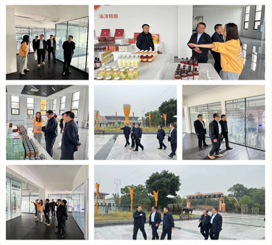 重庆市乡村发展协会一行到西部食谷参观考察(图1)