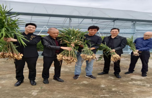 开州区白桥镇唐帅华书记率队调研华桥(重庆）智慧农业科技公司(图4)